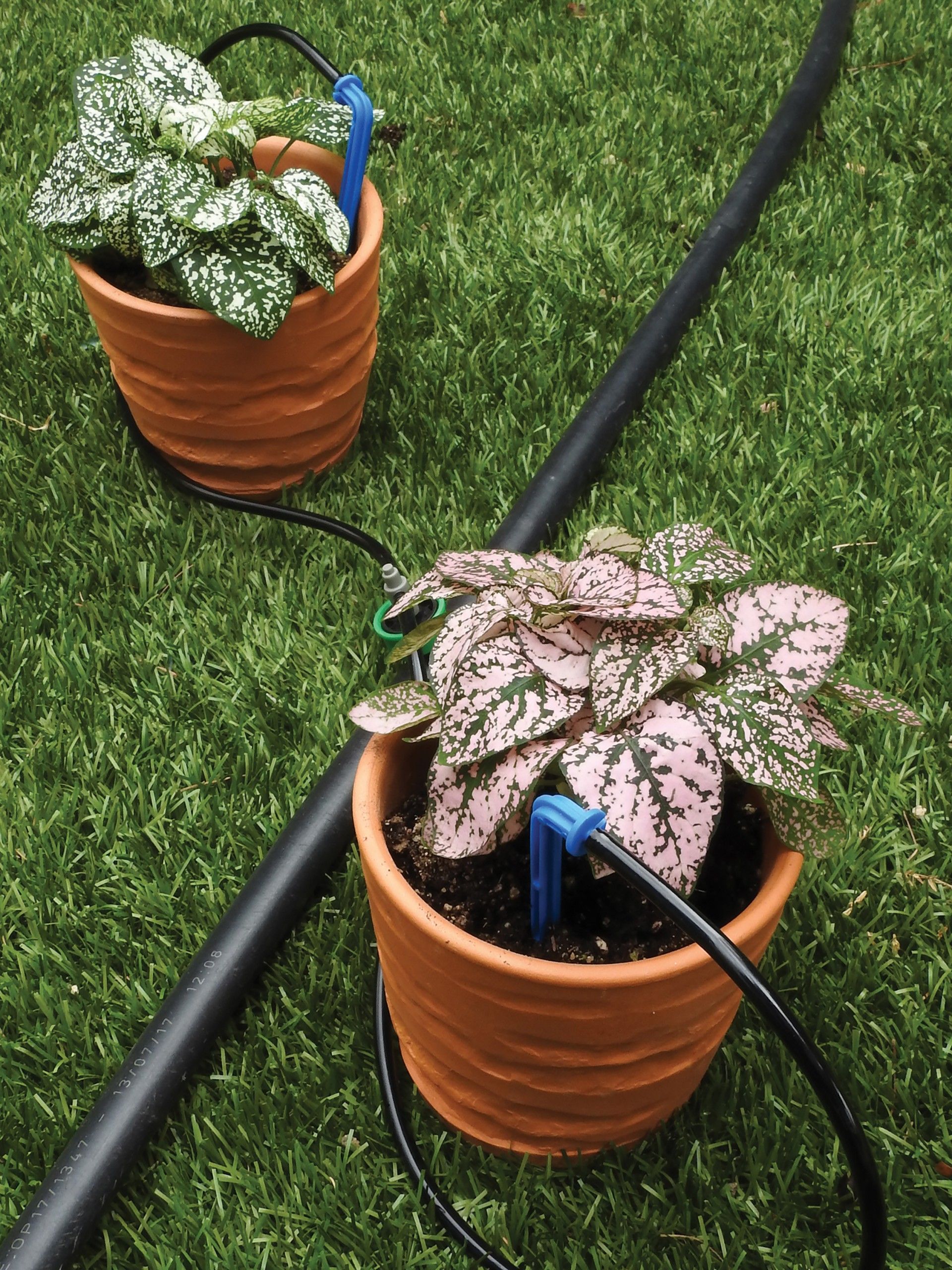 2 Kit Gotejador 4 L/H 2 Saídas