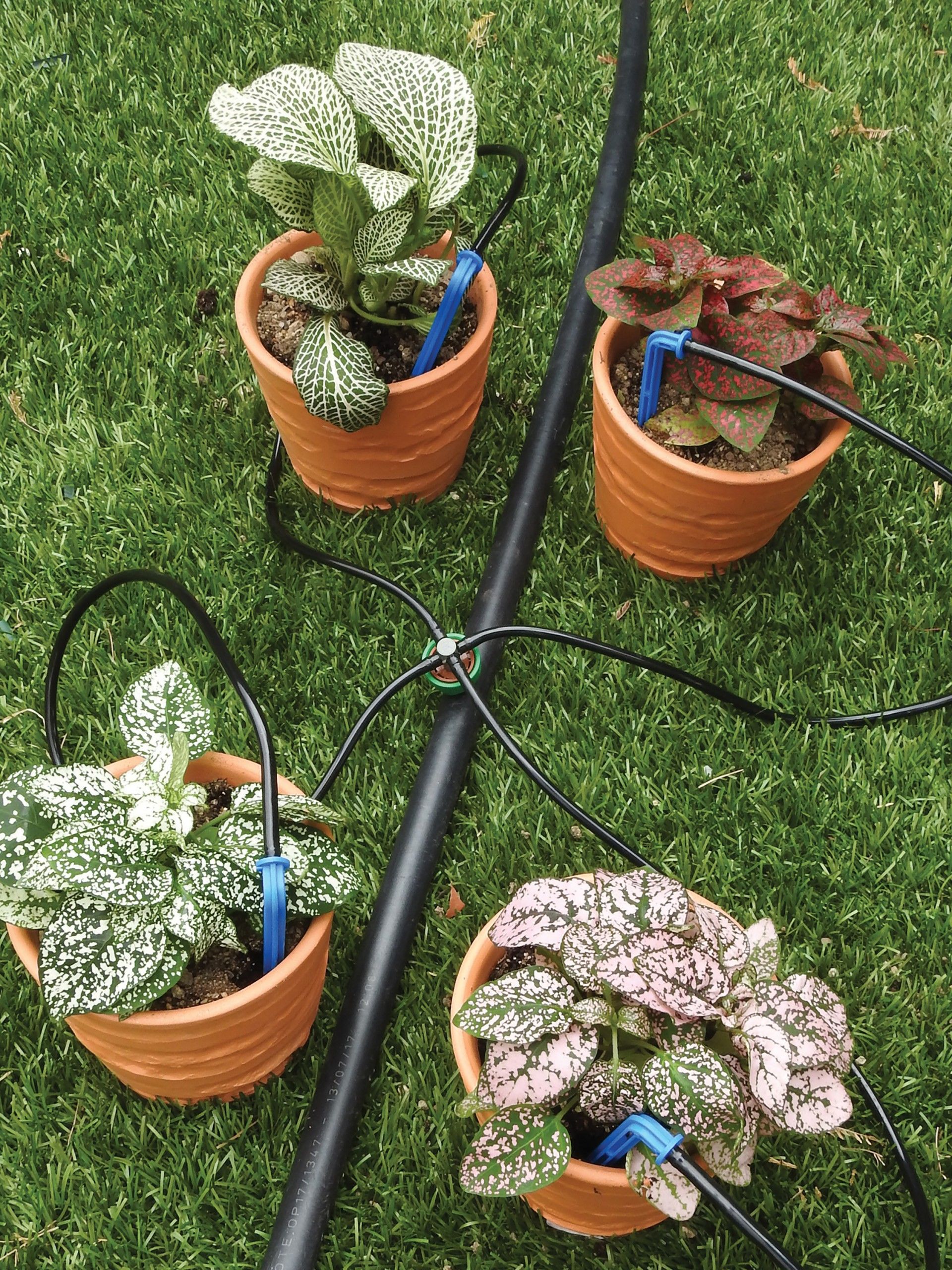 1 Kit Gotejador 8 L/H 4 Saídas