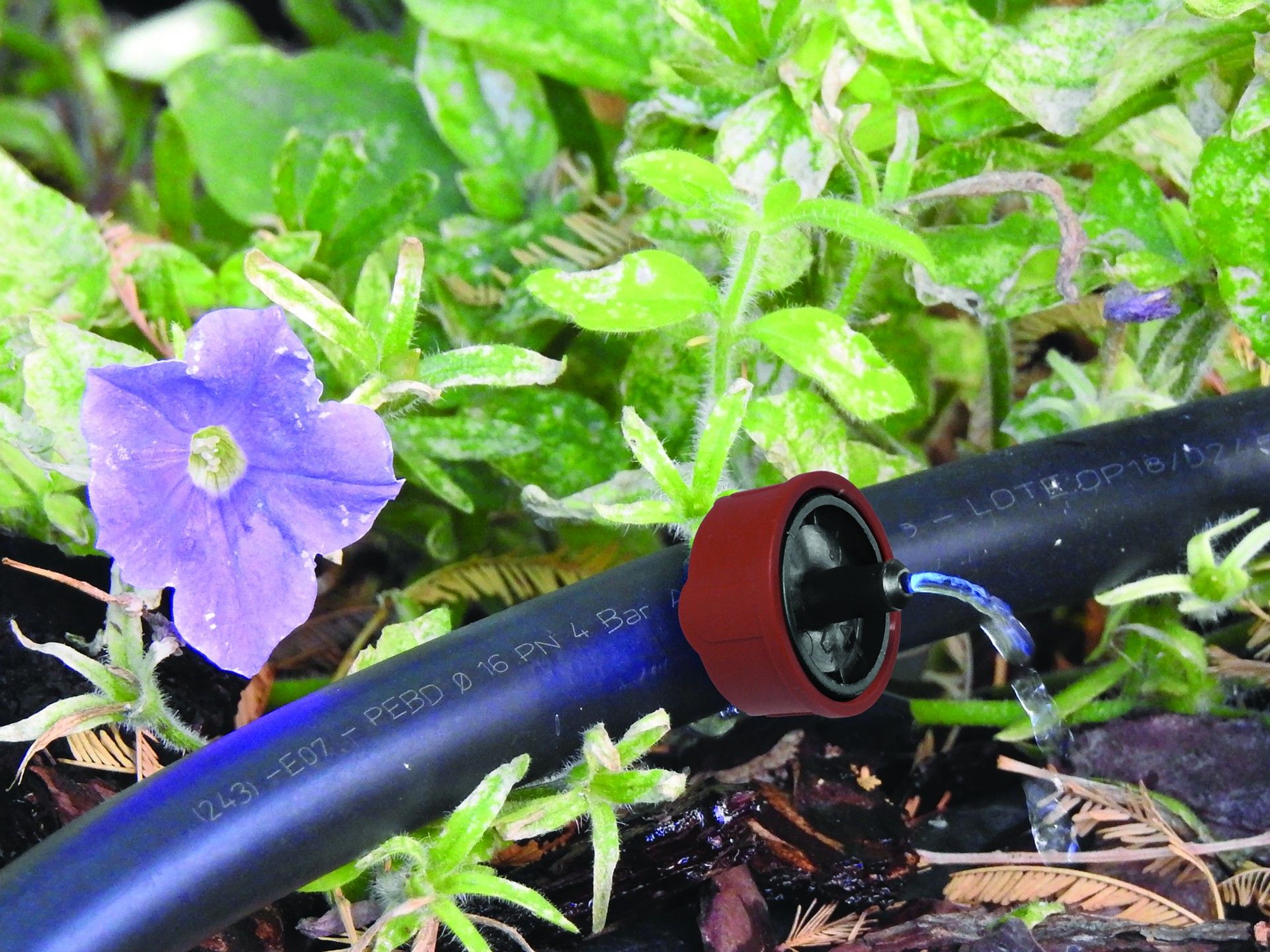 Gotejador 4 L/H 10un