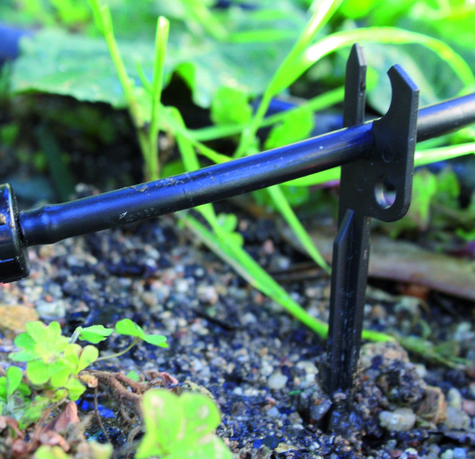 Tubo Micro Rega 4mmx15m Preto