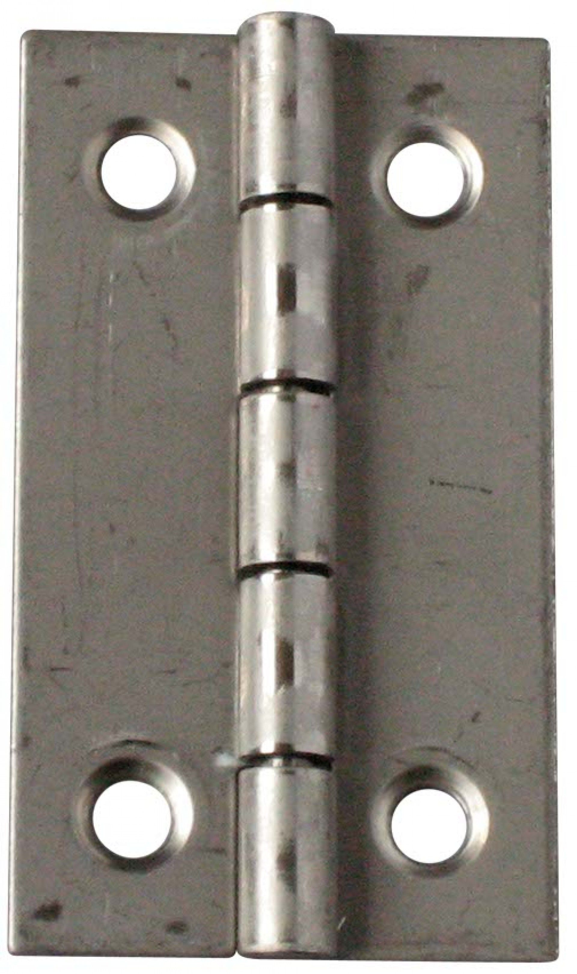 Dobradiça Inox 50x30mm 4un