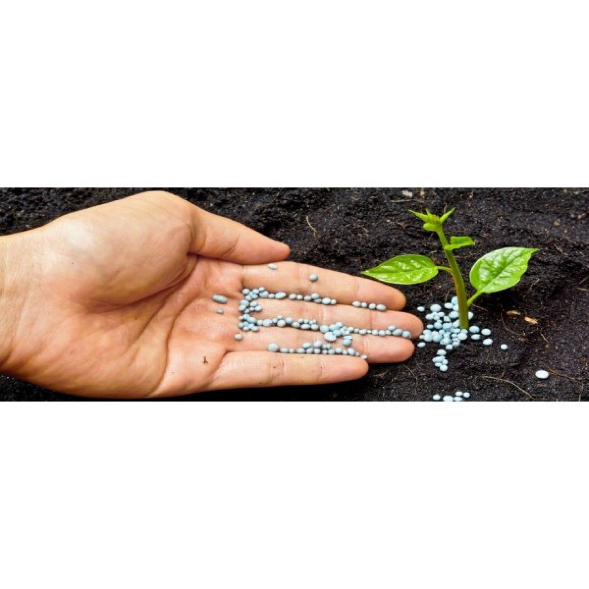 Abrilhantador Baysol 500ml