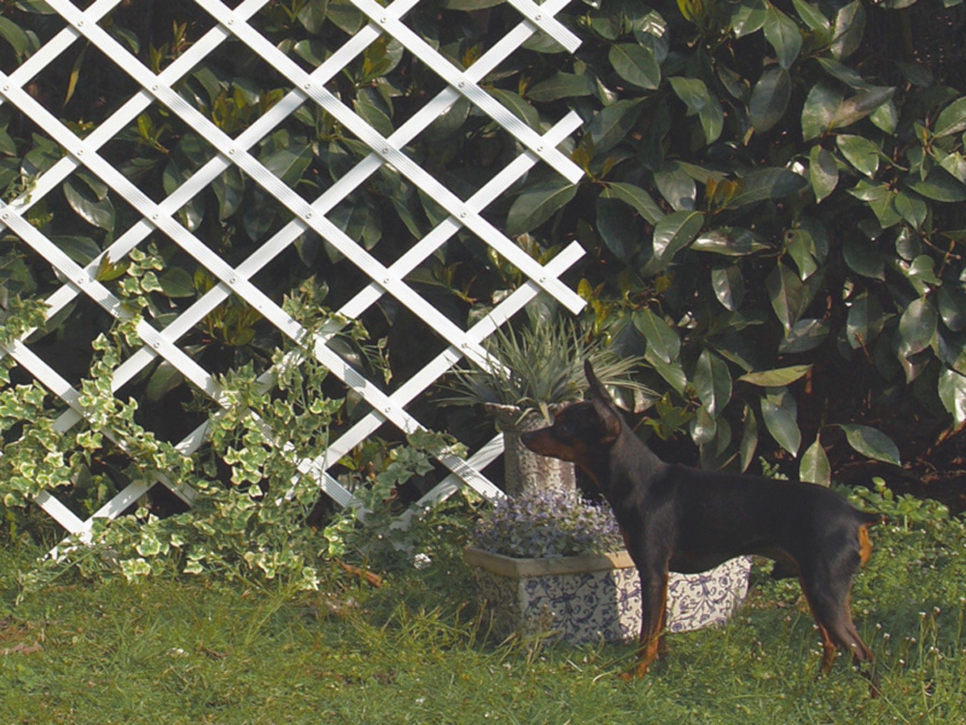 Grade Pvc Ext 1x2m Branco