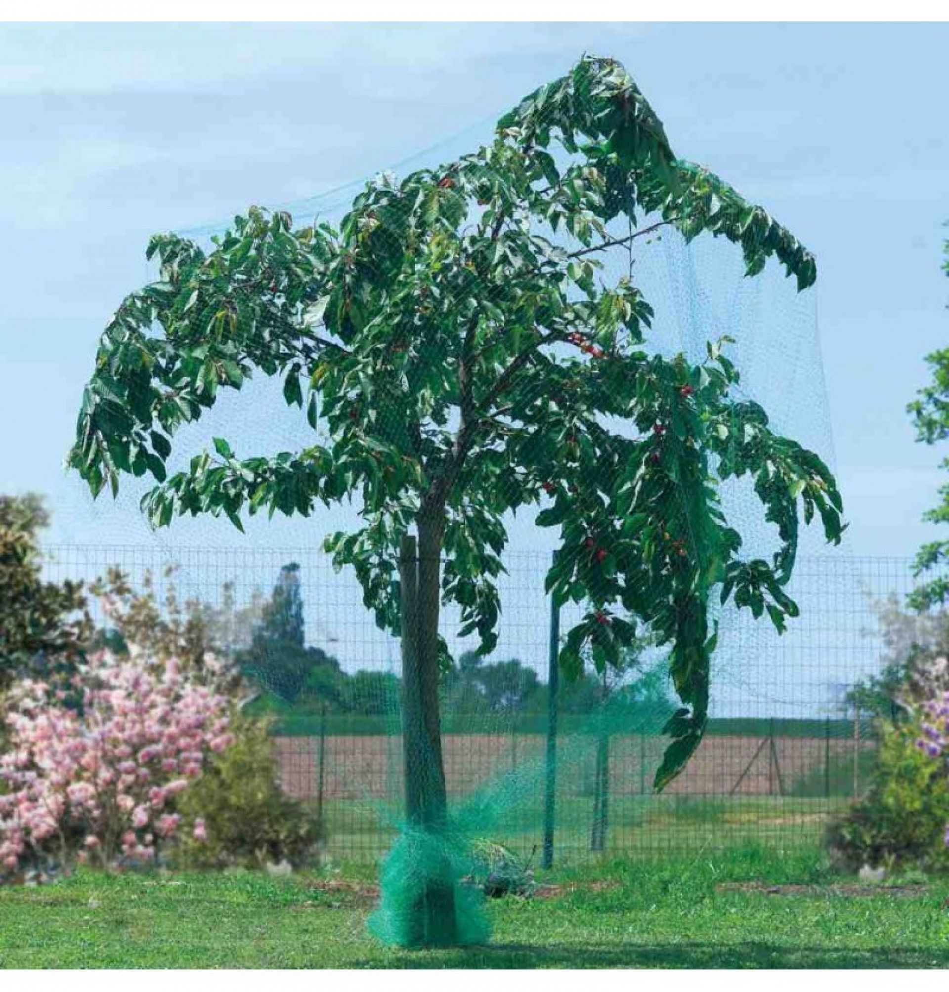 Rede Anti Passaro 8x10m Ne Birdnet