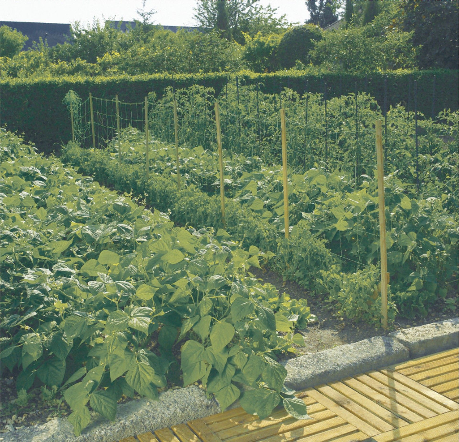 Rede Tutora 1x5m Verde