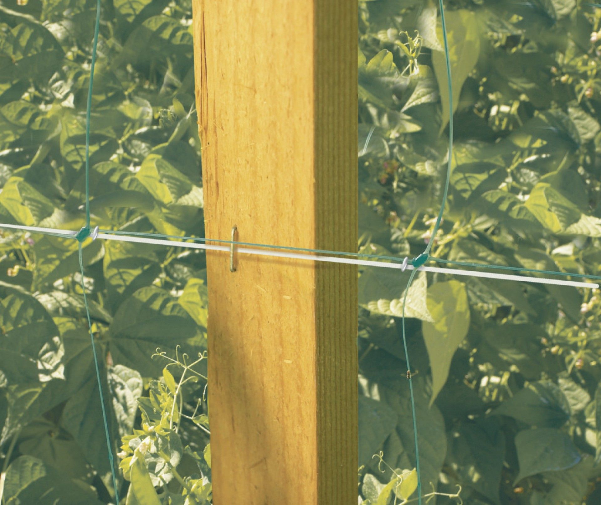 Rede Tutora 1x5m Verde