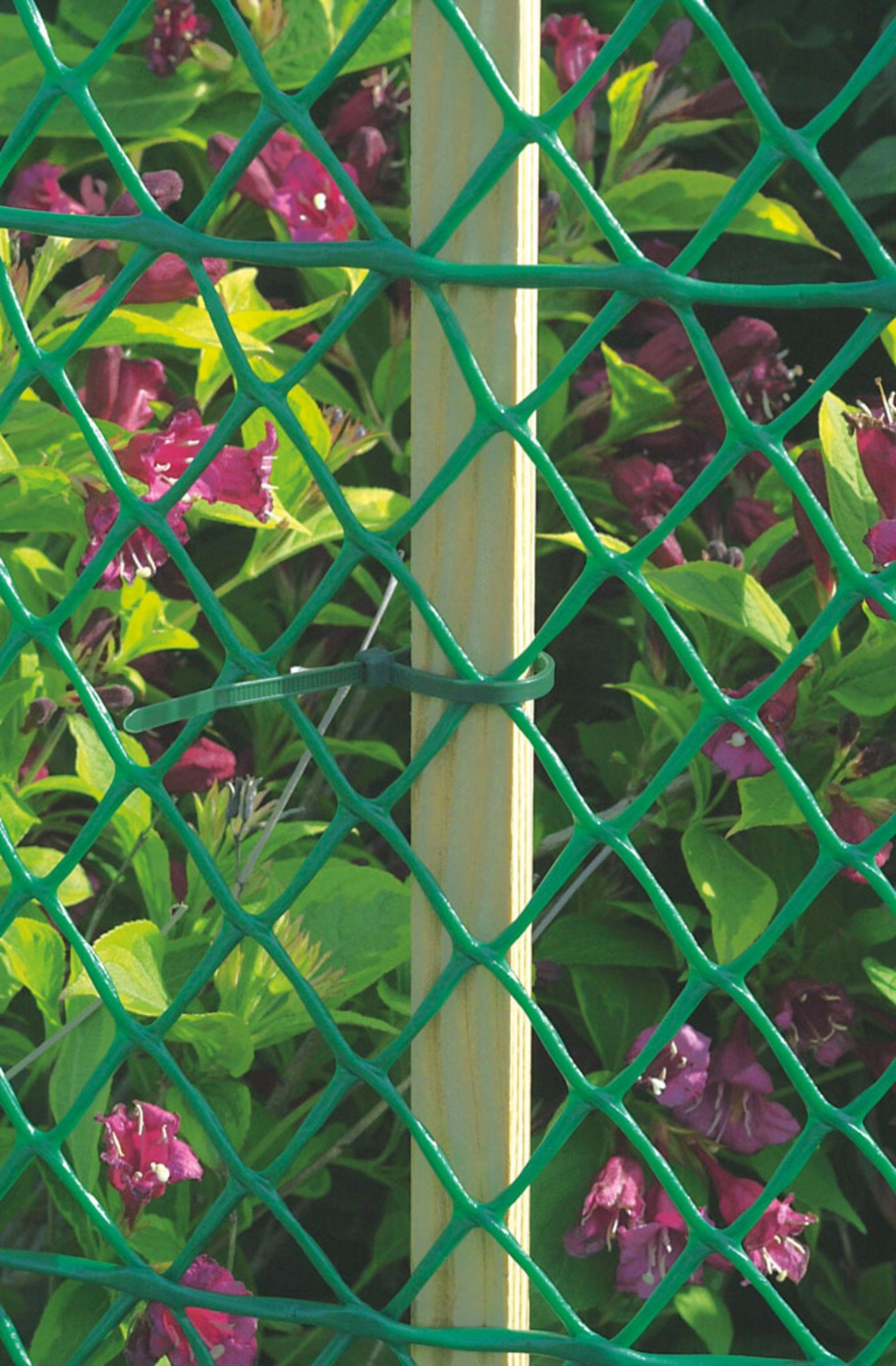 Rede Plástica Floranet 0,6x5m Verde