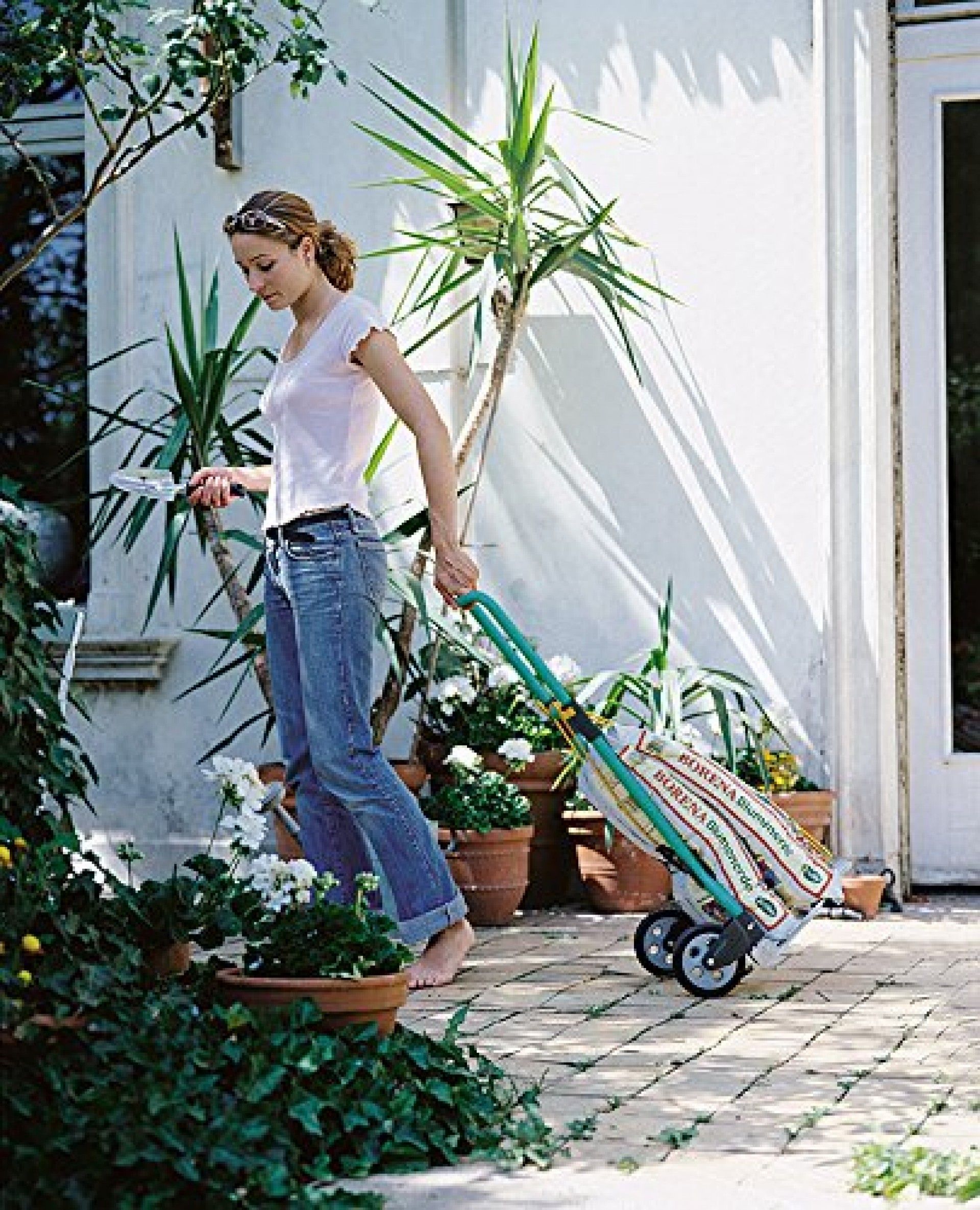 Carro Transporte 75kg