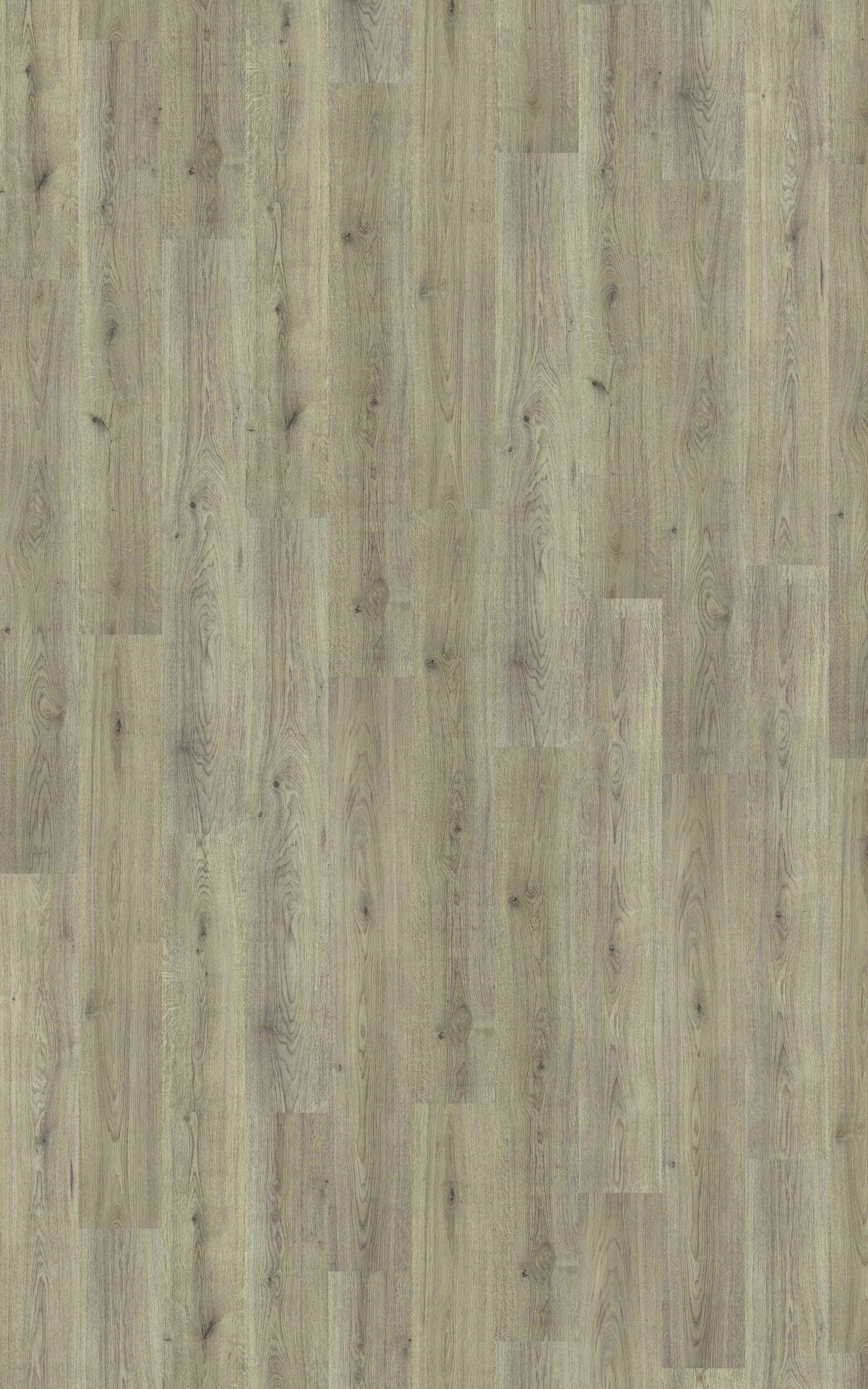 Pavimento Flutuante 6mm AC3 Carvalho Cinza