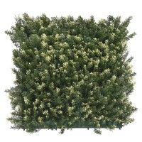 JARDIM VERTICAL 4UN 50X50CM CYPRESS JARDIM VERTICAL 4UN 50X50CM CYPRESS