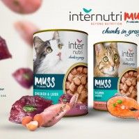 Alimento Para Gato Frango 415g Alimento Para Gato Frango 415g