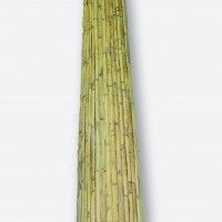 Caniado Natural Meia Cana 1x5m