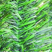 Sebe Artificial Standard 1,5x3m Sebe Artificial Standard 1,5x3m