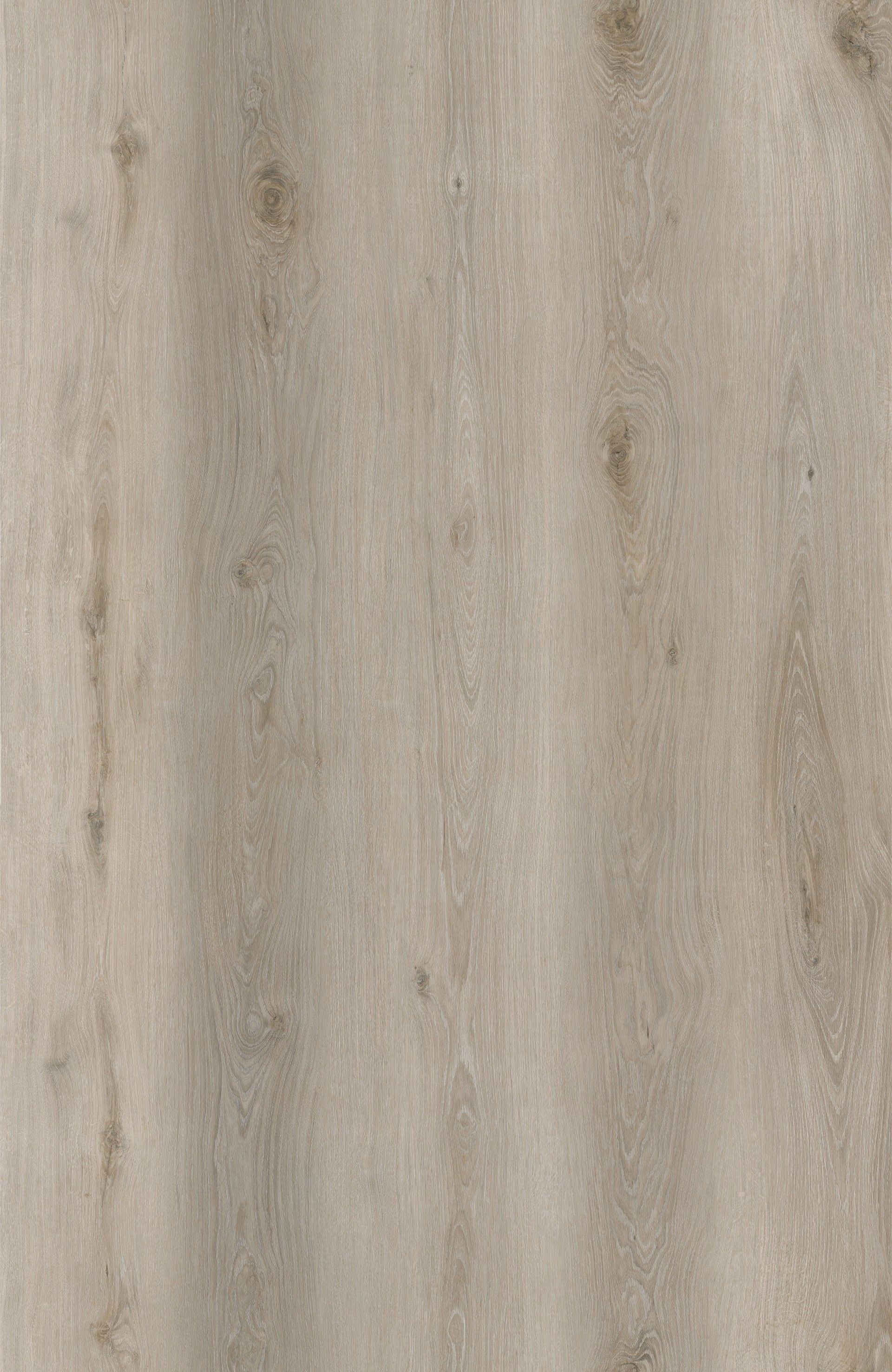 Pavimento Vinílico SPC C/Ixpe 5mm Oak Claro