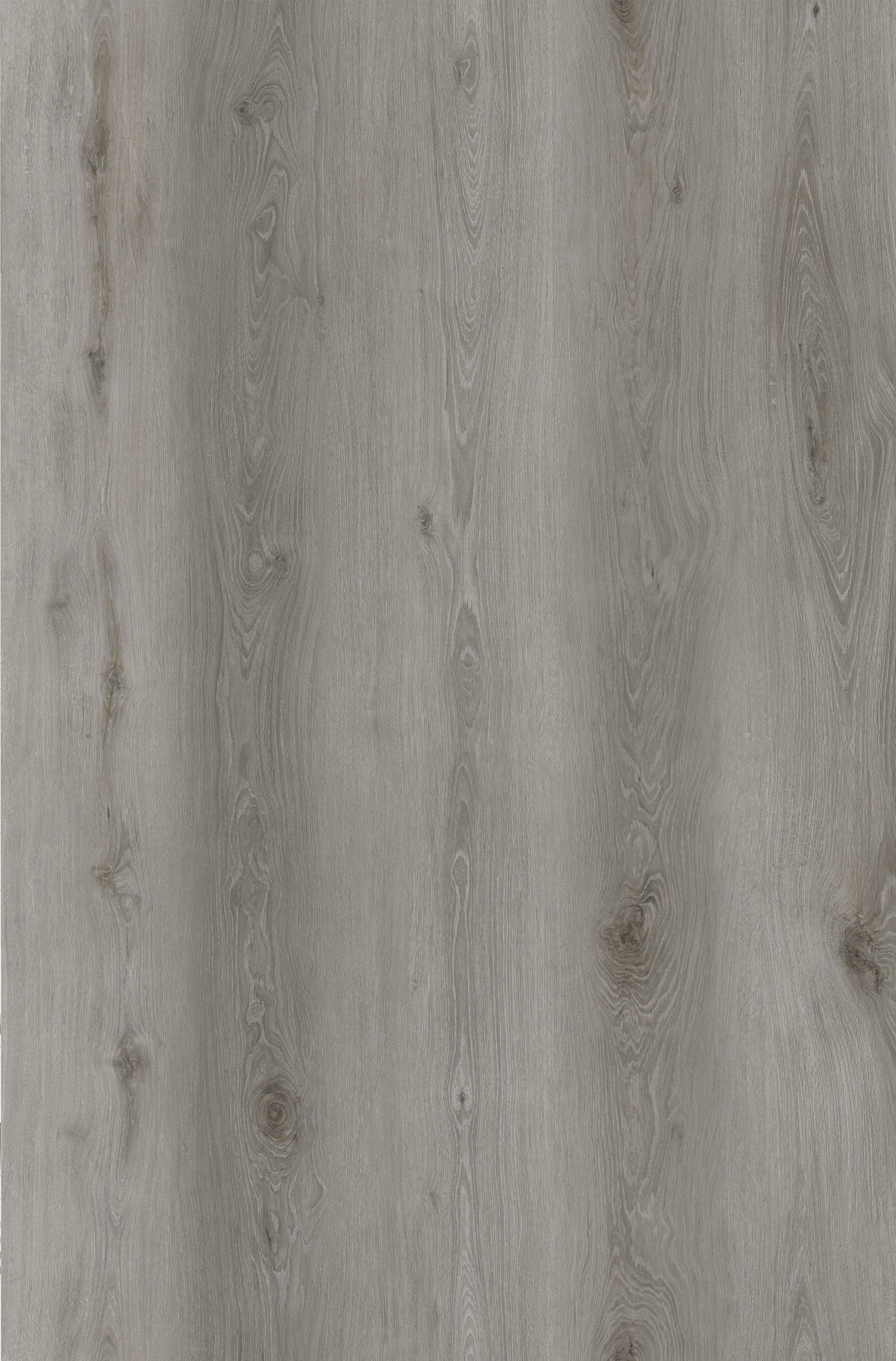 Pavimento Vinílico SPC C/Ixpe 5mm Oak Cinza