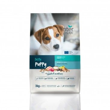 Alimento Para Co Tasty Puppy 3kg