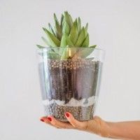 Argila Leca Urban 4-10 mm 10L Argila Leca Urban 4-10 mm 10L