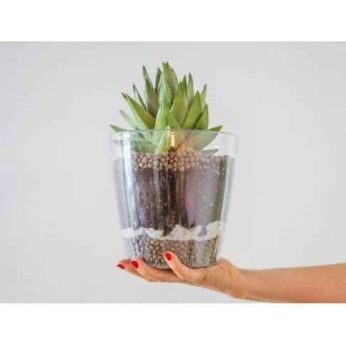 Argila Leca Urban 4-10 mm 10L Argila Leca Urban 4-10 mm 10L