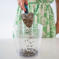 Argila Leca Urban 4-10 mm 10L Argila Leca Urban 4-10 mm 10L