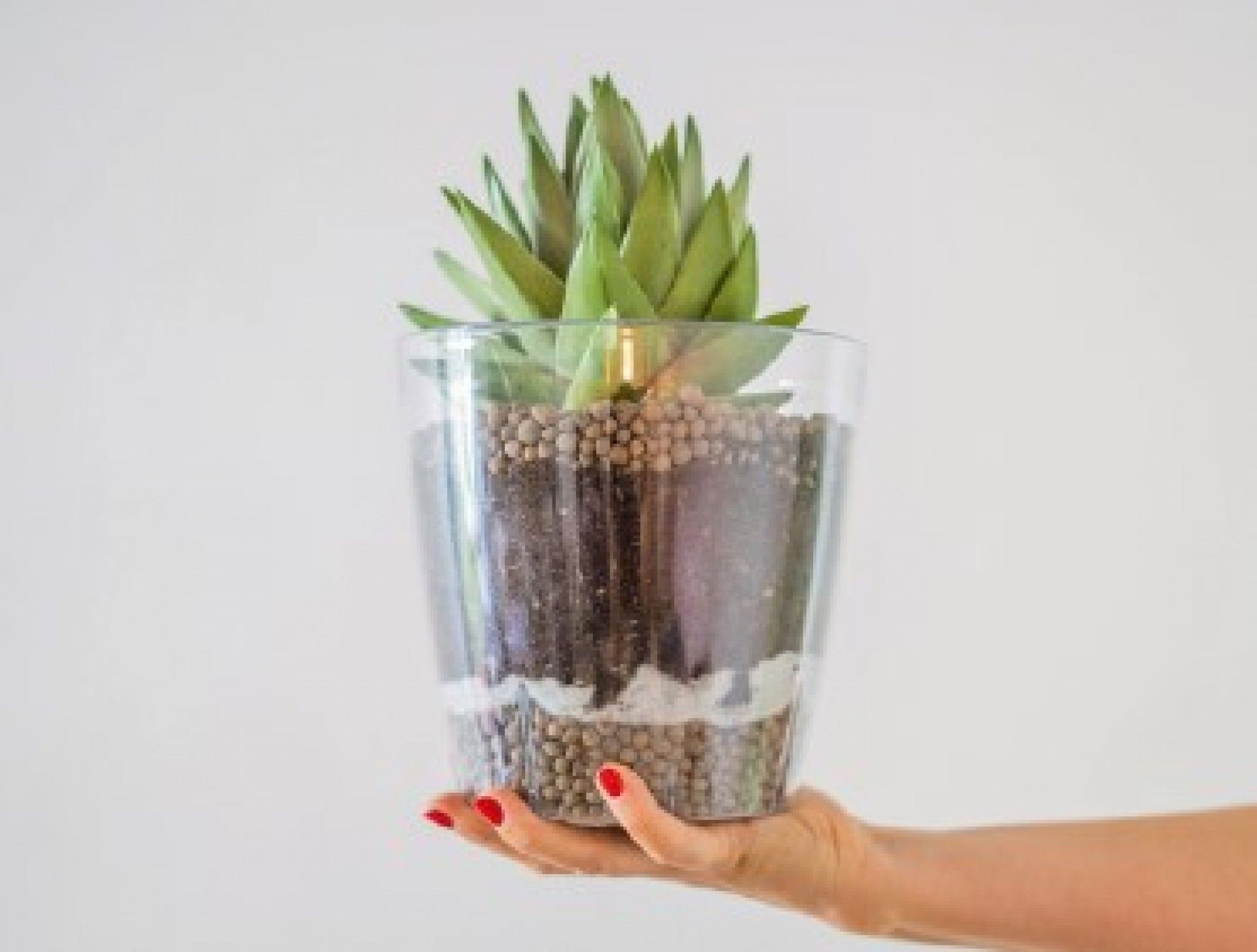 Argila Leca Urban 4-10 mm 10L