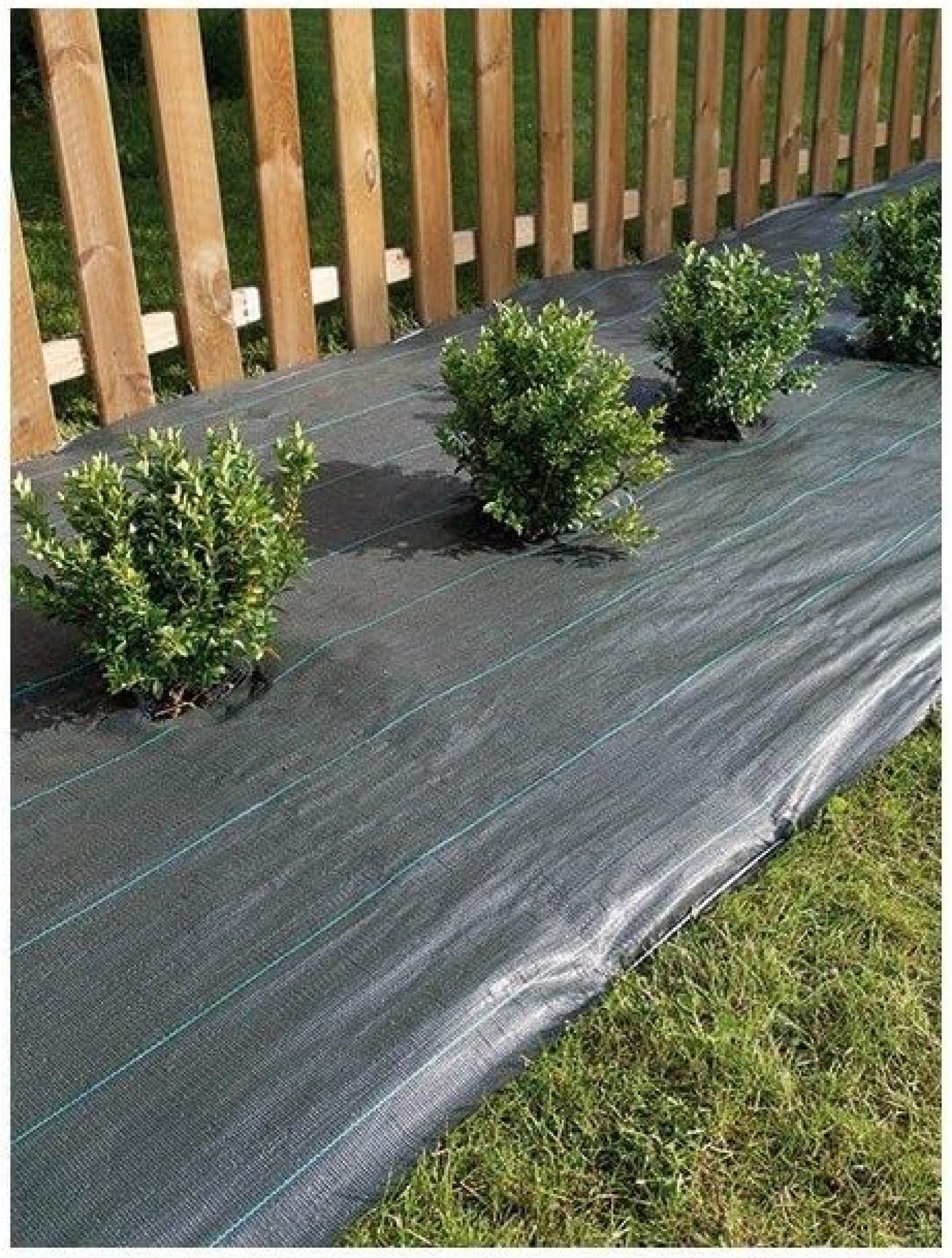 Malha Anti-Ervas 90g 1x25m Verde