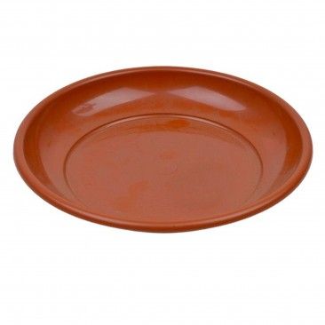 Prato Redondo 35 Castanho Prato Redondo 35 Castanho