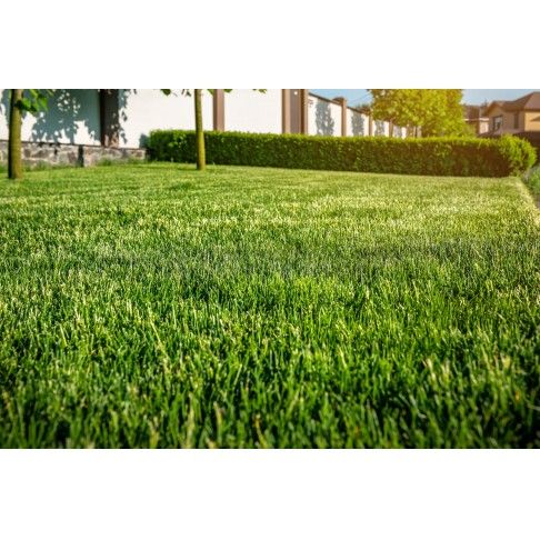 Relva Artificial 30mm 2x5m Vd/Vd