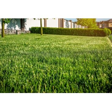 Relva Artificial 30mm 2x5m Vd/Vd