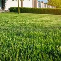 Relva Artificial 30mm 2x5m Vd/Vd