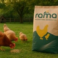 Ra��o para Galinhas Poedeiras 25kg