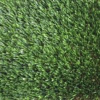 Relva 30mm Cambra Rolo 2x5m Relva 30mm Cambra Rolo 2x5m