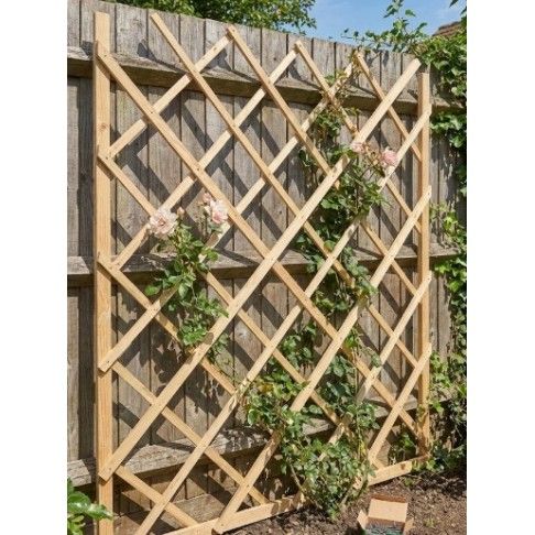 Ripa 25x40x2500 Pinho Seco Pack de 6un com tratamento fitosanit�rio e autoclave