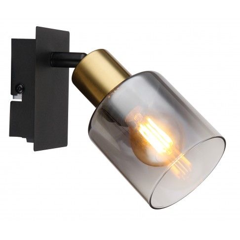 Spot 1e14 25W Vidro Fumado Spot 1e14 25W Vidro Fumado