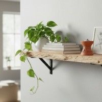 Painel de Madeira Maci�a em Pinho R�stico 1220x300x50mm