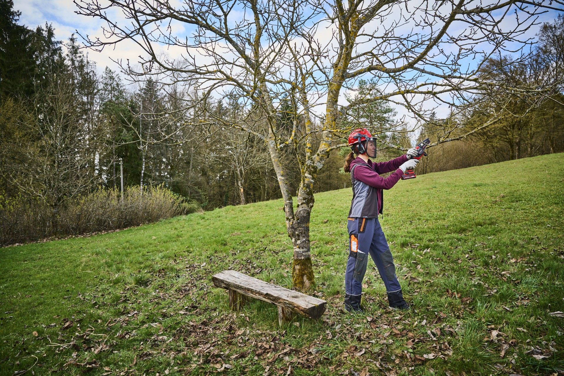 Serra Poda Brushless Sem Fio 18v