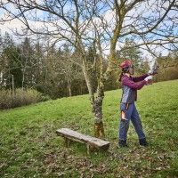 Serra Poda Brushless Sem Fio 18v