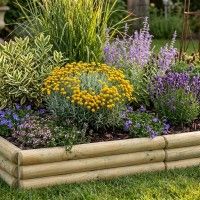 Bordadura Bocage 30x55x2,5cm Bordadura Bocage 30x55x2,5cm