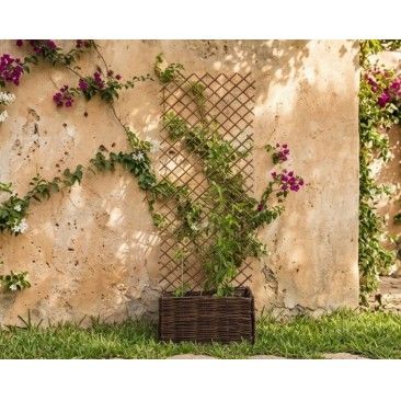 Celosia Extensivel Em Vime 1x2mt